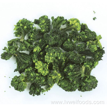 High quality dehydrated broccoli 5*5mm